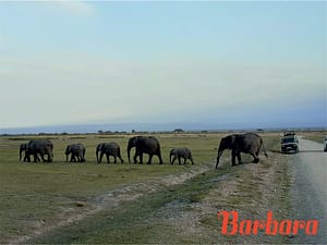 safari-in-kenia-barbara_01