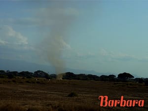 safari-in-kenia-barbara_04