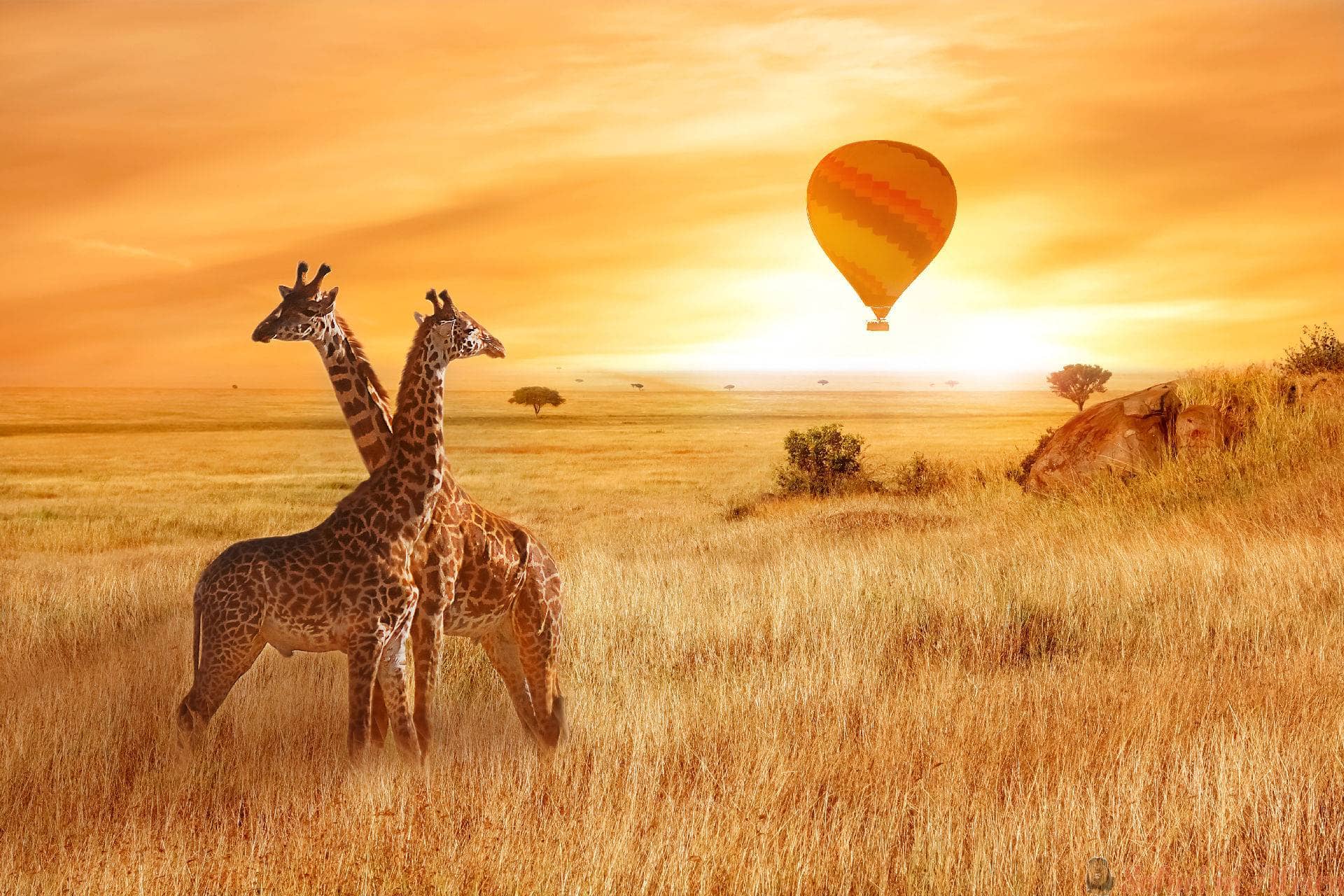 vlucht-van-een-ballon-in-de-lucht-boven-de-savanne
